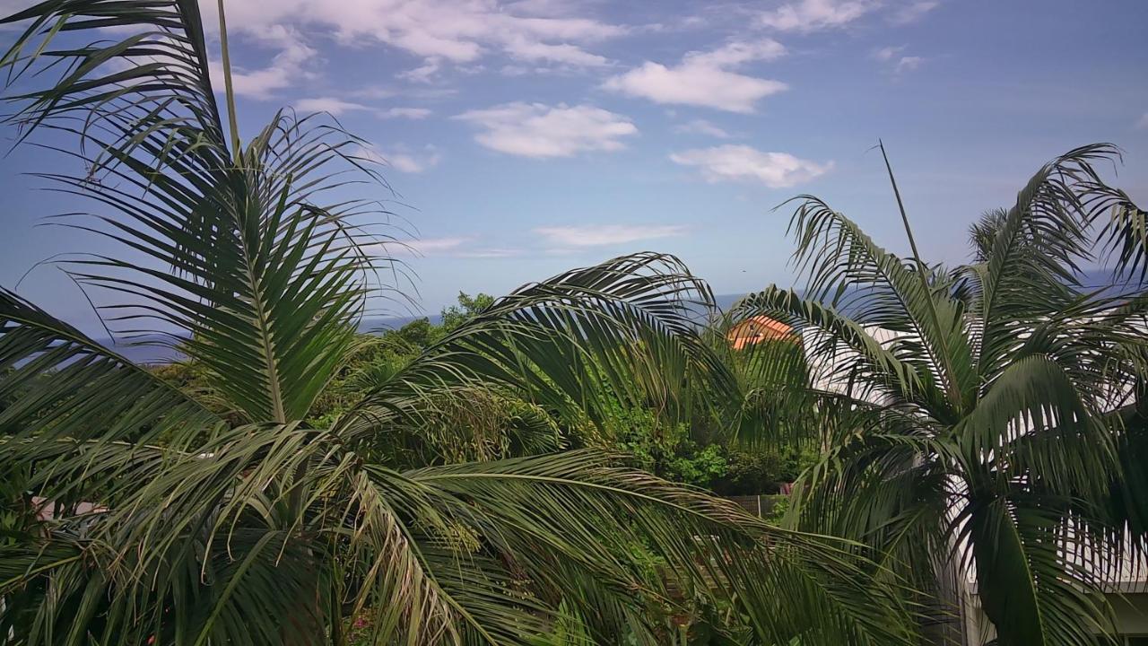 Un Petit Coin De Paradis A La Reunion Saint-Joseph Exterior foto